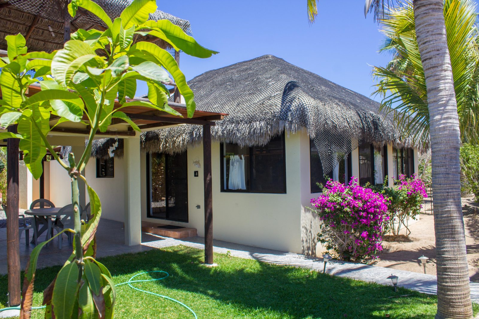 Palapa-roof villa with garden and bougainvillea at Cabo Pulmo Beach Resort